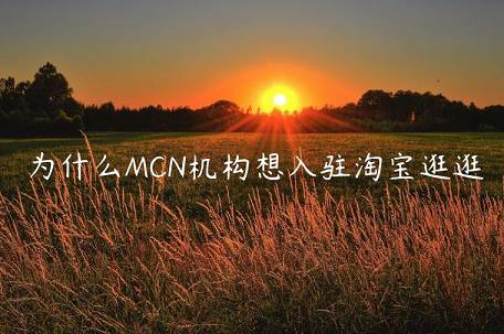 為什么MCN機構(gòu)想入駐淘寶逛逛